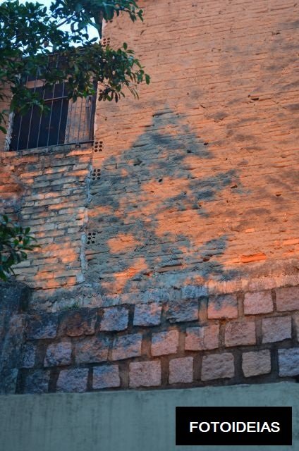 DSC_0238.JPG