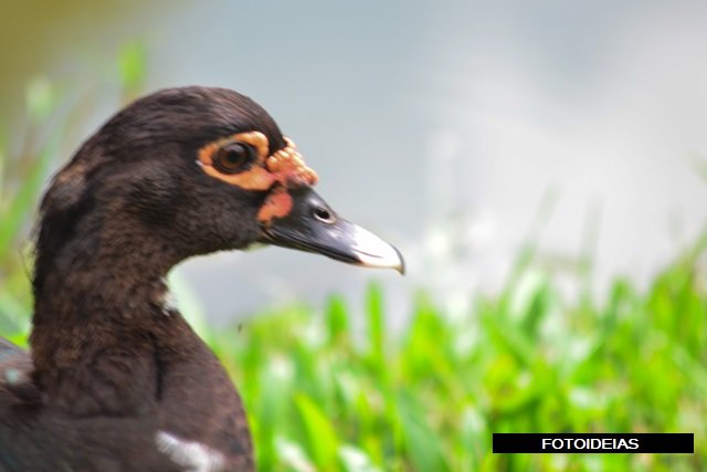 RSC_0315.JPG