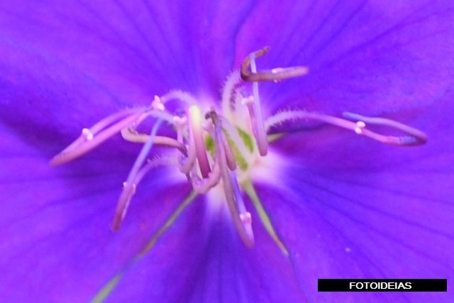 RSC_0281.JPG