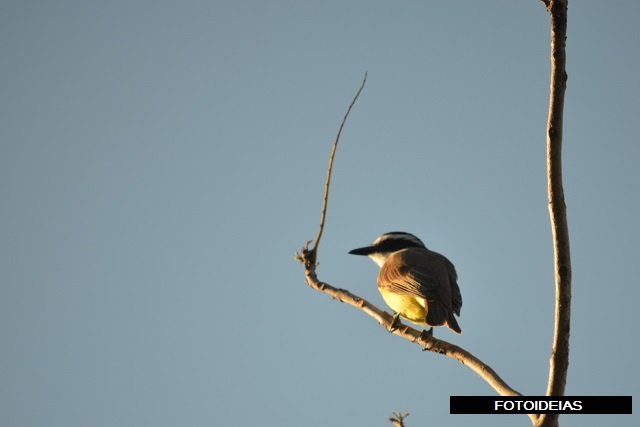 RSC_0715.JPG